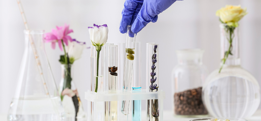 Essential Oils : A Science-Informed Approach to Natural Support