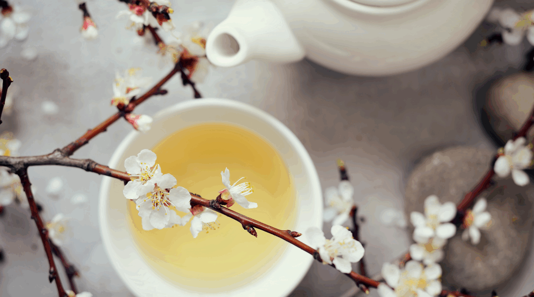 Nature’s Support—Healing with Plant Medicine