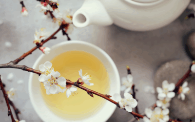 Nature’s Support—Healing with Plant Medicine