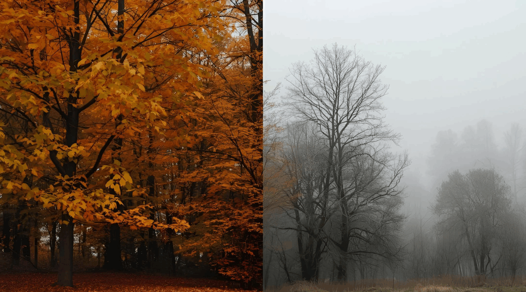 When Autumn Turns Heavy: Understanding Seasonal Affective Disorder (SAD)