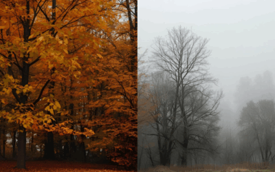 When Autumn Turns Heavy: Understanding Seasonal Affective Disorder (SAD)