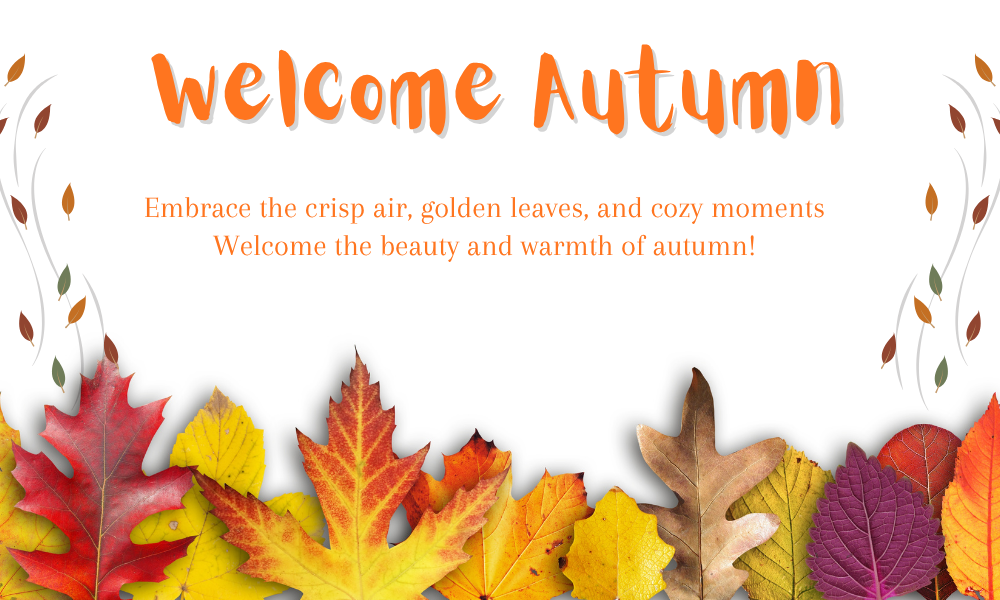 Nov GHC 11 (1) an image of autumn leaves welcoming readers of the Greensboro Holistic Collective November newsletter