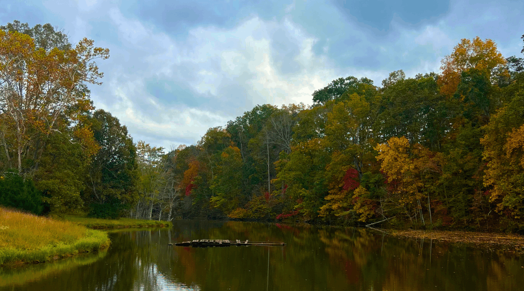 A calm autumn lake surrounded by colorful trees reflecting in the water under a cloudy sky is the perfect setting for the community fire circle