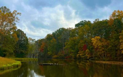 Home, Heart & Harmony: Within the Sacred Fire Community