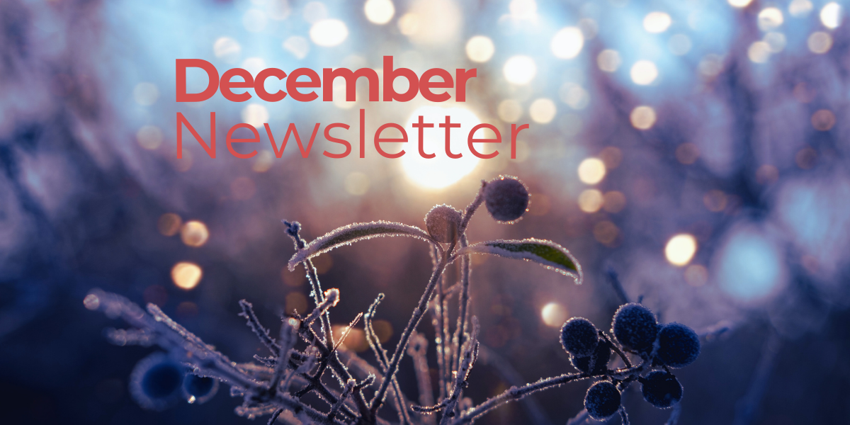 image of the sun coming up, illuminating tender ice-covered sprouts for the December issue of the Greensboro Holistic Collective newsletter