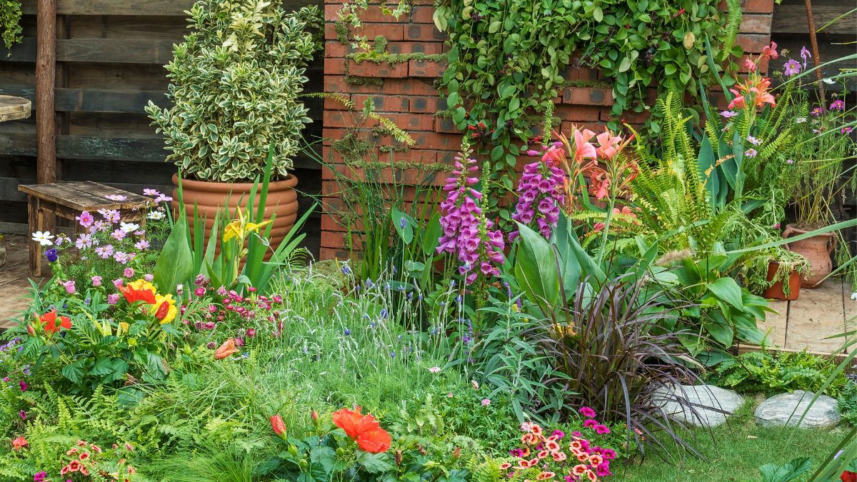 Close view of green lawn grass with uneven texture