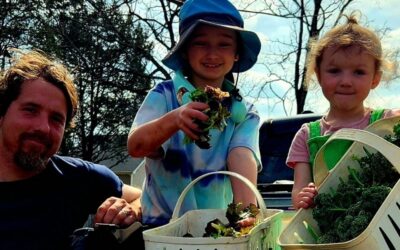 Interview – The Hoey Farm: Stewardship, Soil, and Starting Where You Are