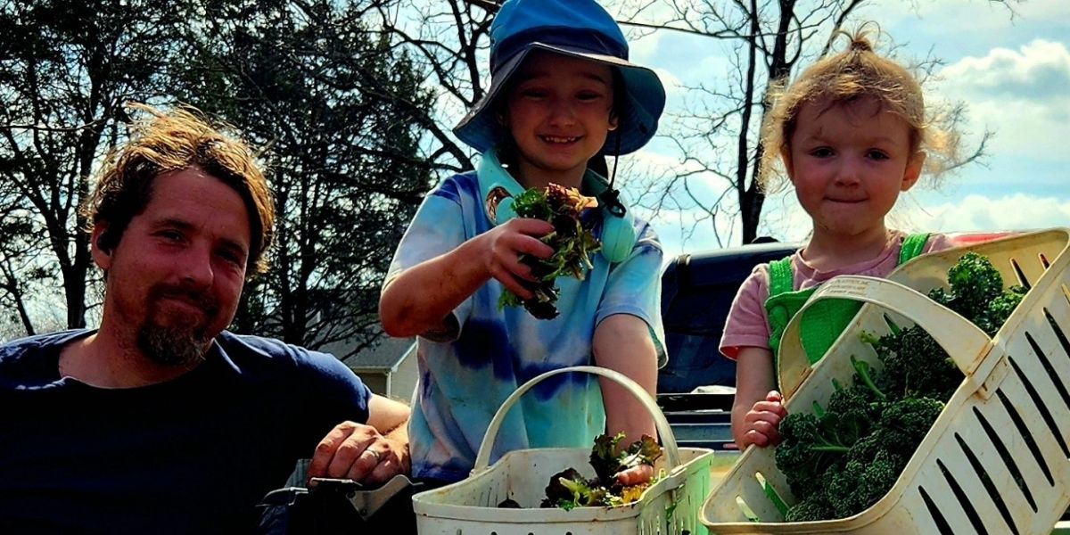 Rows of vegetables growing on a small farm