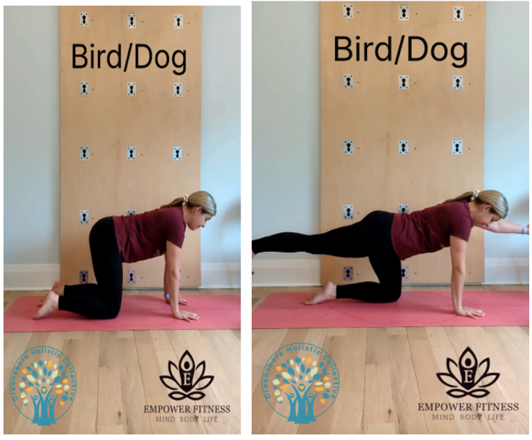 Bird dog yoga postures