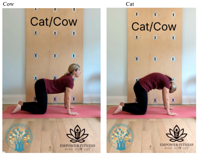 Cat Cow yoga posture