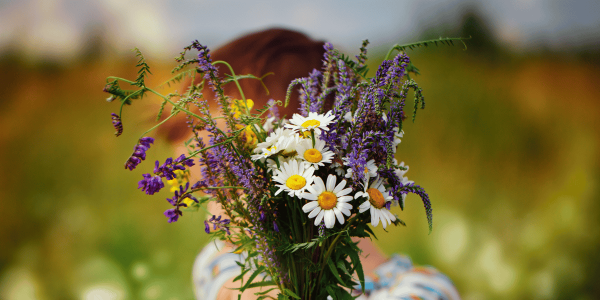 Wildflower bouquet with daisies and purple blooms held outdoors in soft natural light