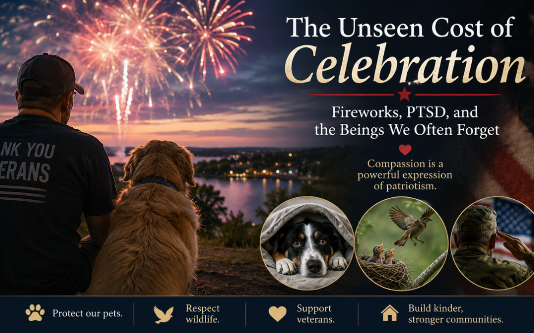 The Unseen Cost of Celebration
